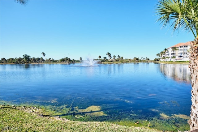 property view of water