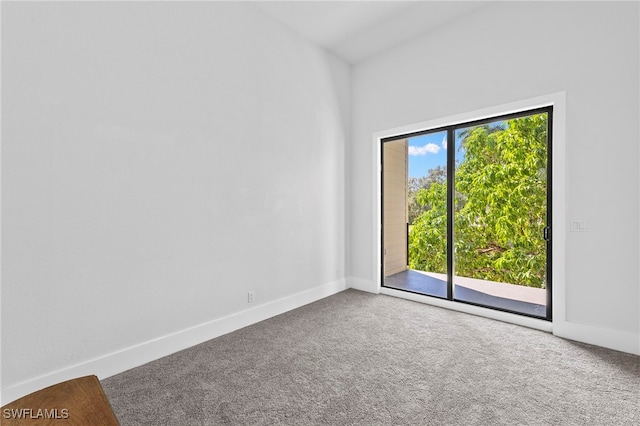 empty room with plenty of natural light and carpet flooring