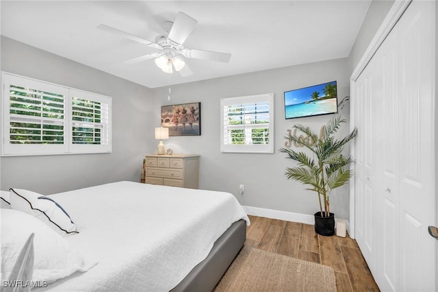 bedroom featuring ceiling fan, dark hardwood / wood-style floors, and a closet