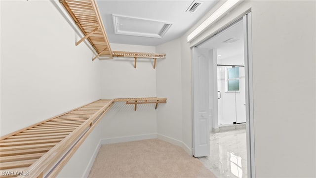 walk in closet with light colored carpet