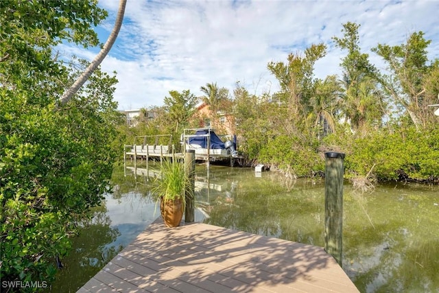 dock area with a water view