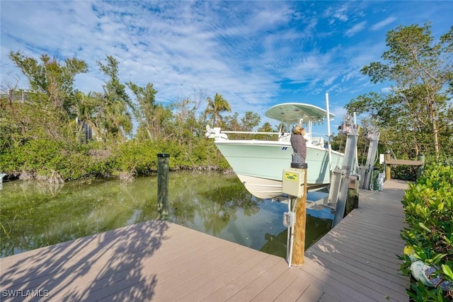 dock area with a water view