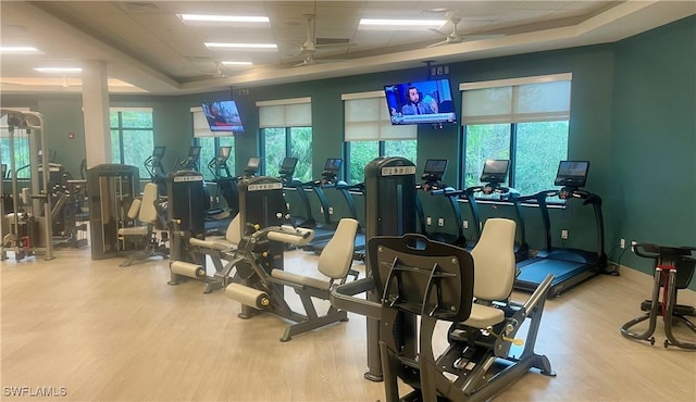 gym featuring a paneled ceiling and wood finished floors