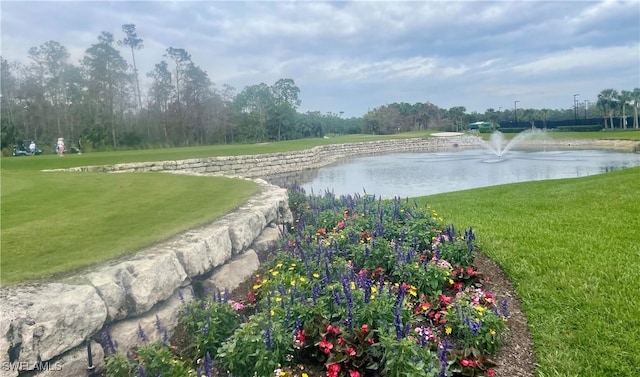 view of water feature