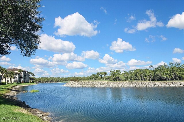 8580 Cedar Hammock Cir Unit 714, Naples, FL 34112 - water view