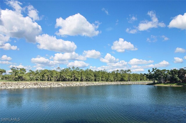 8580 Cedar Hammock Cir Unit 714, Naples, FL 34112 - water view featuring a forest