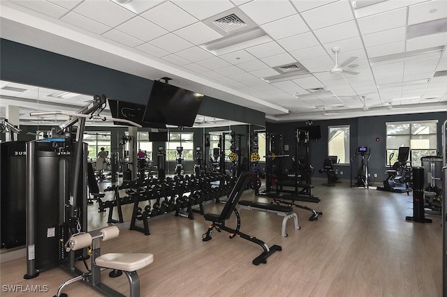 8580 Cedar Hammock Cir Unit 714, Naples, FL 34112 - gym featuring wood finished floors, plenty of natural light, and a drop ceiling
