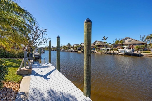 dock area with a water view