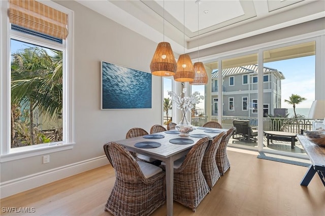 dining area with wood-type flooring