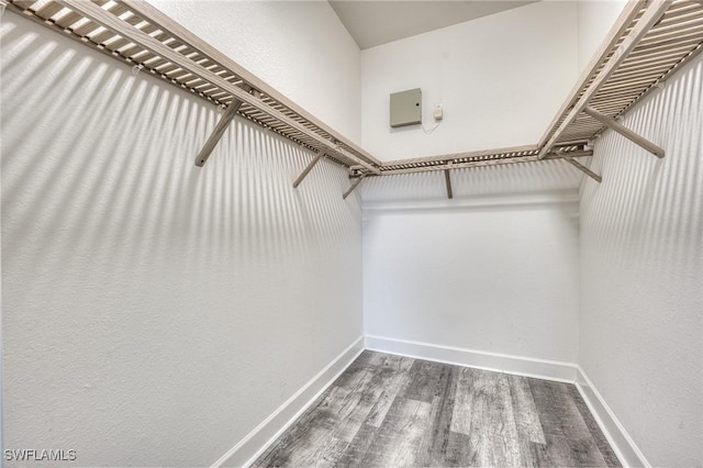 spacious closet featuring hardwood / wood-style floors