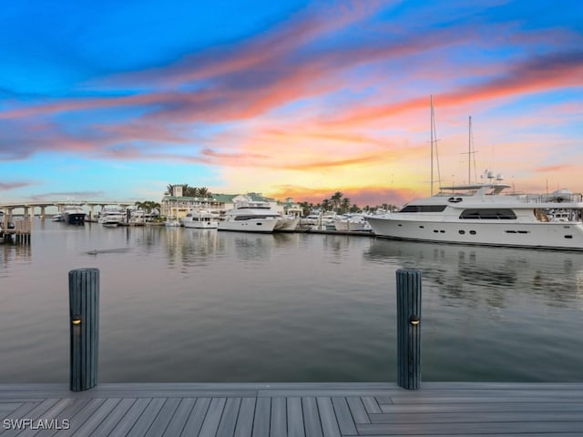 dock area featuring a water view