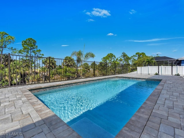 4116 NE 21st Pl, Cape Coral, FL 33909 - view of pool featuring a fenced in pool and fence