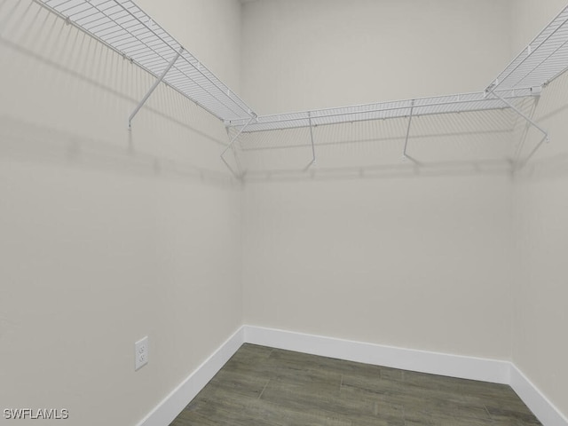 spacious closet with dark wood-type flooring