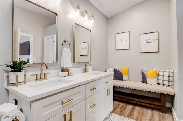 bathroom with vanity and wood-type flooring