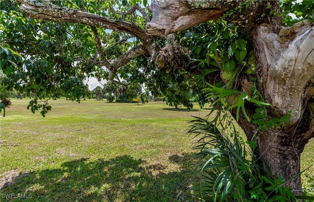 1038 Seminole Cir, Moore Haven, FL 33471