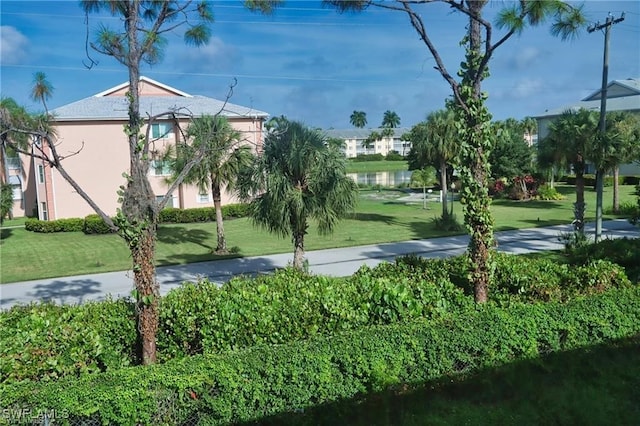 view of community featuring a lawn