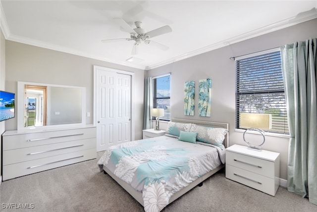 carpeted bedroom featuring ceiling fan, a closet, and ornamental molding