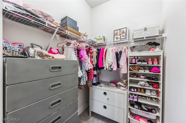 spacious closet featuring carpet floors