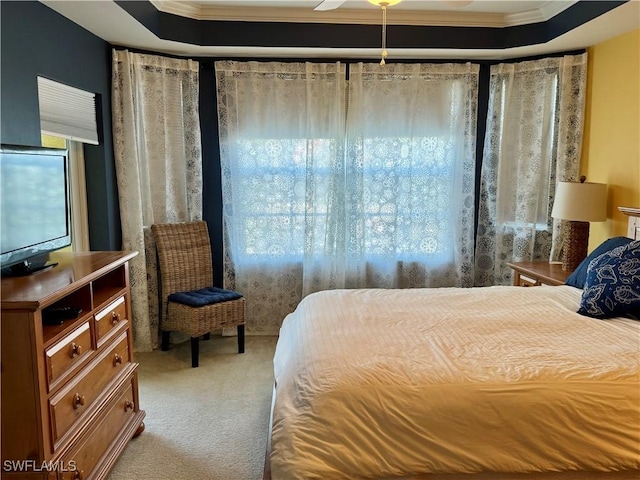 carpeted bedroom featuring a tray ceiling