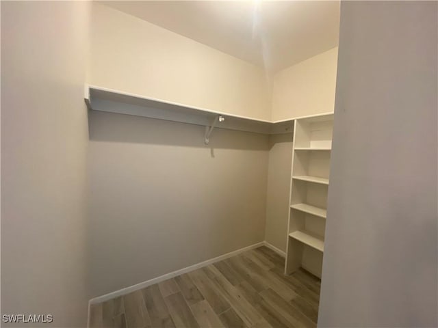 walk in closet featuring wood-type flooring