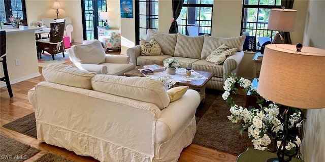 living room featuring wood-type flooring