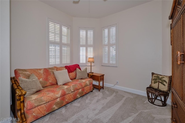 living room featuring light colored carpet