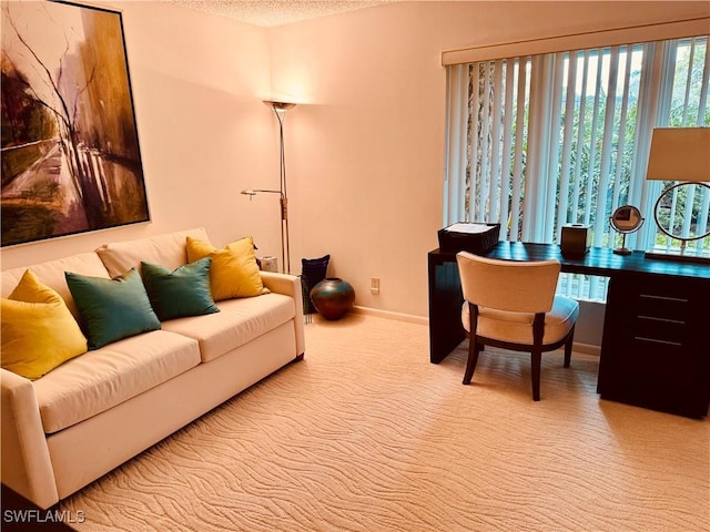 carpeted office with a textured ceiling and baseboards