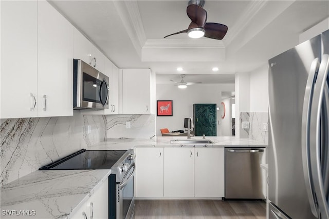 kitchen with a raised ceiling, sink, white cabinetry, appliances with stainless steel finishes, and ornamental molding