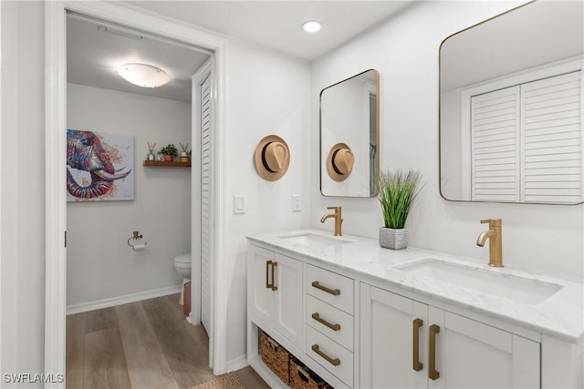 bathroom featuring toilet, vanity, and wood-type flooring