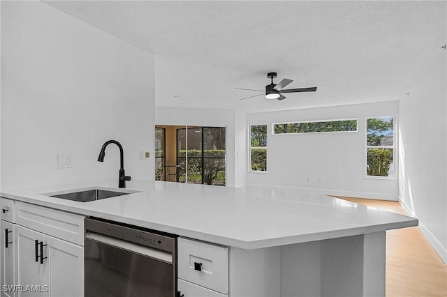 kitchen with a sink, a wealth of natural light, light countertops, and dishwasher