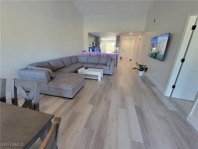 living room featuring light hardwood / wood-style flooring