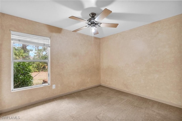 unfurnished room featuring ceiling fan, a wealth of natural light, and carpet