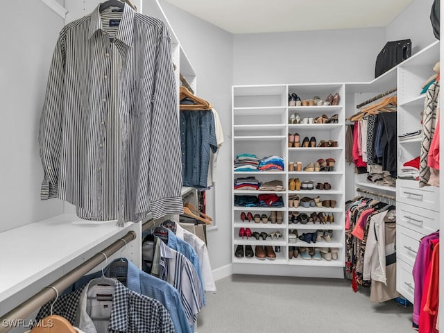 spacious closet with carpet flooring