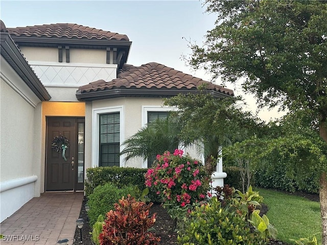 doorway to property featuring a tile roof and stucco siding