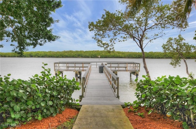 dock area featuring a water view