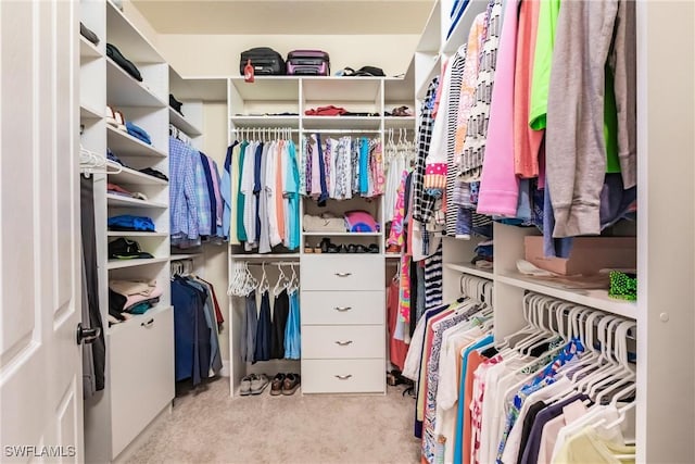 view of spacious closet