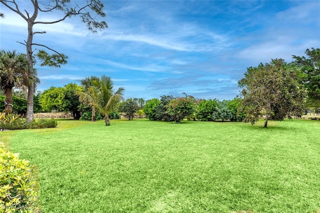 1311 Monarch Cir, Naples, FL 34116 - view of green lawn