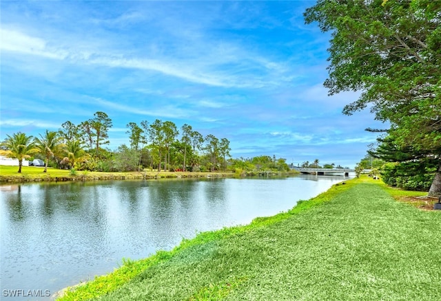 1311 Monarch Cir, Naples, FL 34116 - water view