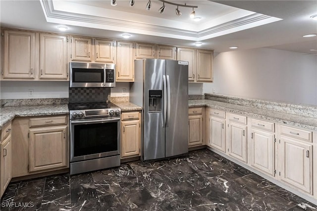 kitchen featuring a raised ceiling, light stone countertops, crown molding, and stainless steel appliances