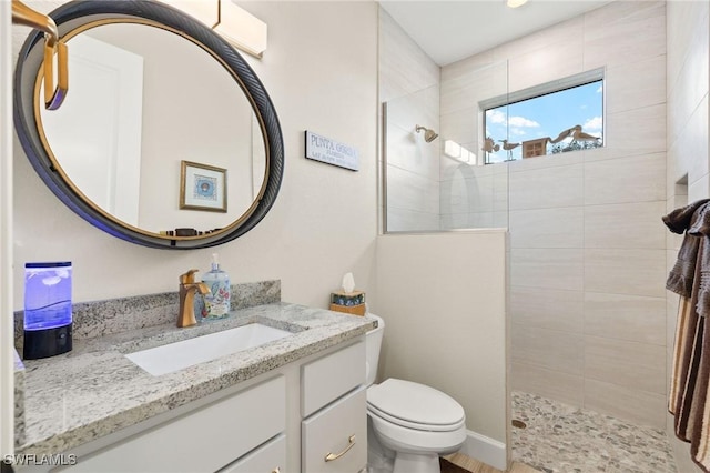 full bathroom featuring toilet, a walk in shower, and vanity