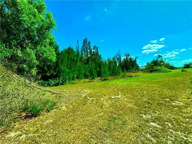 view of landscape