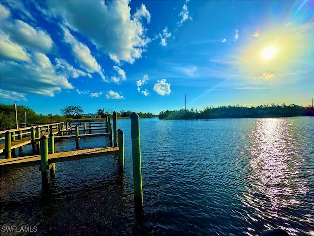 dock area with a water view