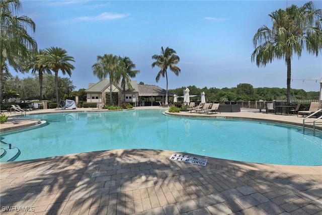 view of swimming pool with a patio area