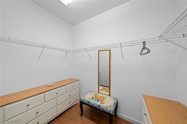 spacious closet featuring light hardwood / wood-style flooring