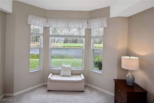 sitting room featuring light carpet