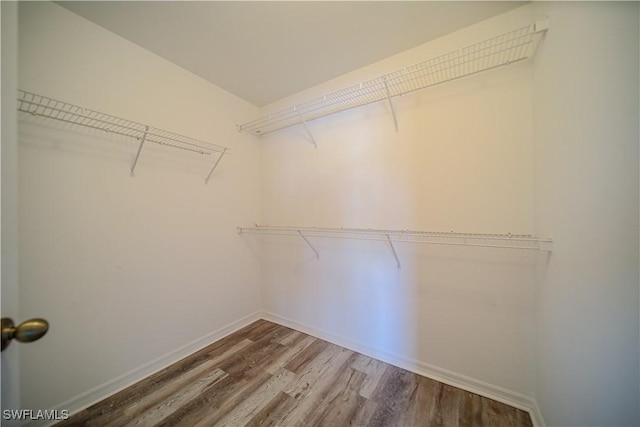 walk in closet featuring wood-type flooring