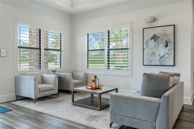 sitting room featuring wood-type flooring