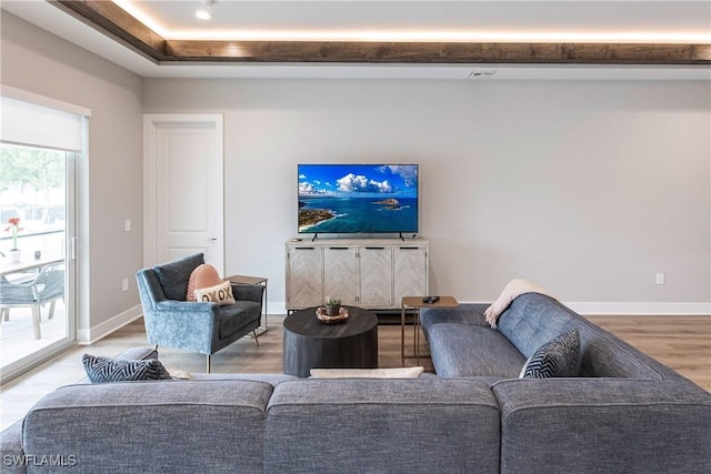 living room with wood-type flooring and a tray ceiling