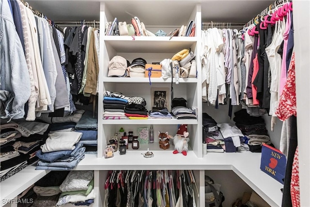 view of spacious closet