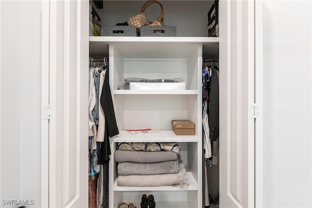 view of closet